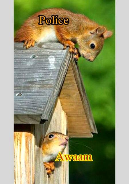 Funny joke