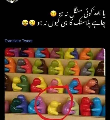 Funny joke