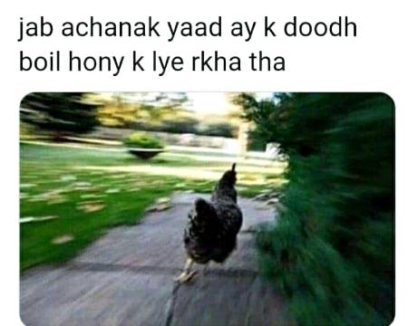 Funny joke