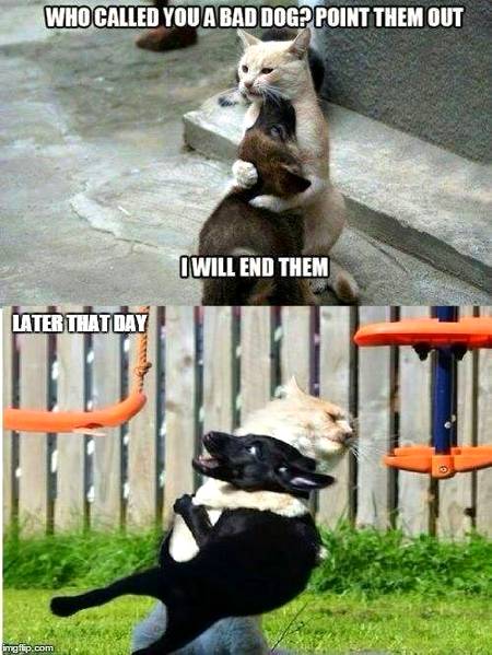 Funny joke