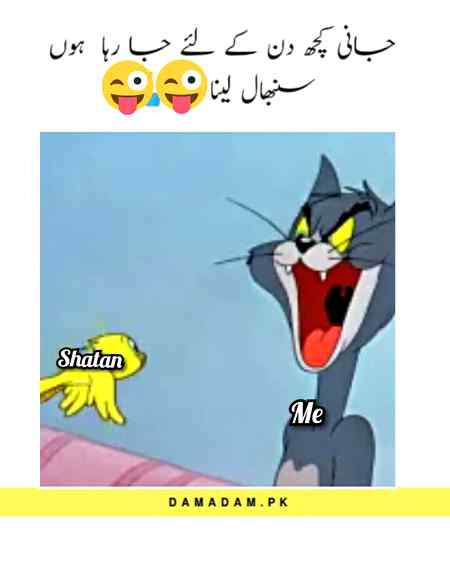 Funny joke
