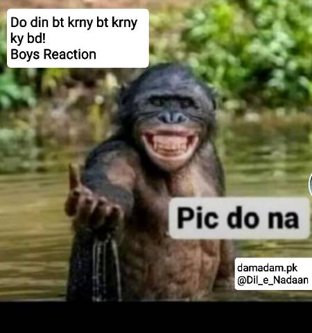 Funny joke