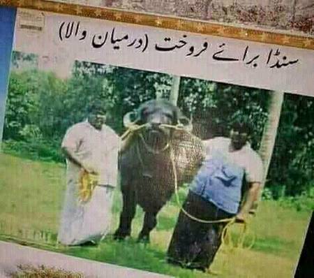 Funny joke