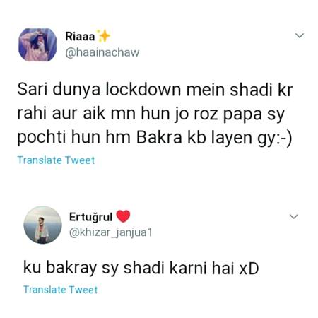 Funny joke