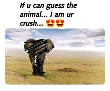 Funny joke