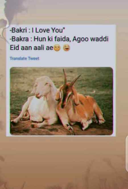 Funny joke