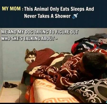 Funny joke