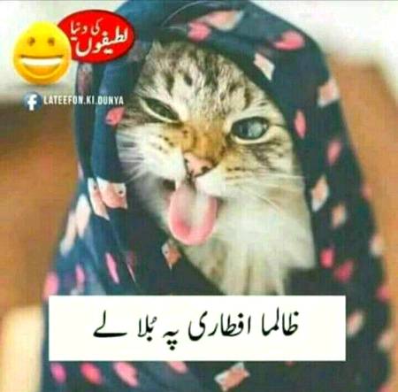 Funny joke