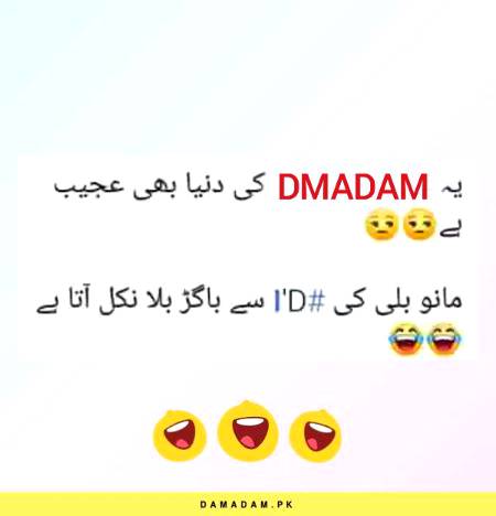 Funny joke