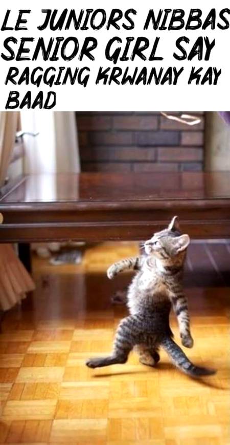 Funny joke