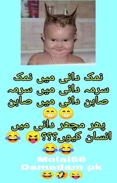 Funny joke
