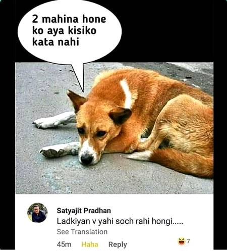 Funny joke