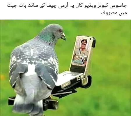 Funny joke