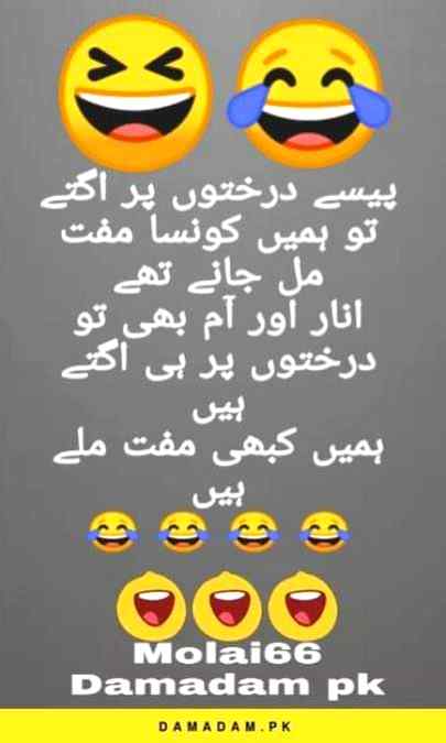 Funny joke