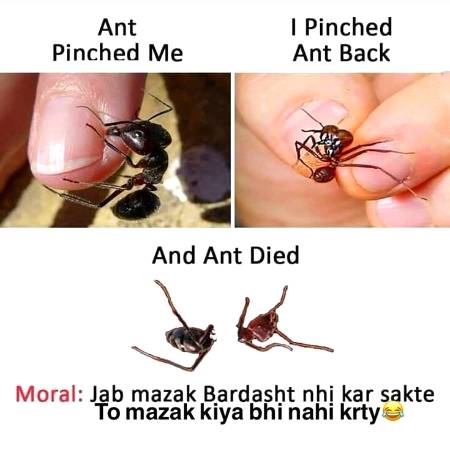 Funny joke