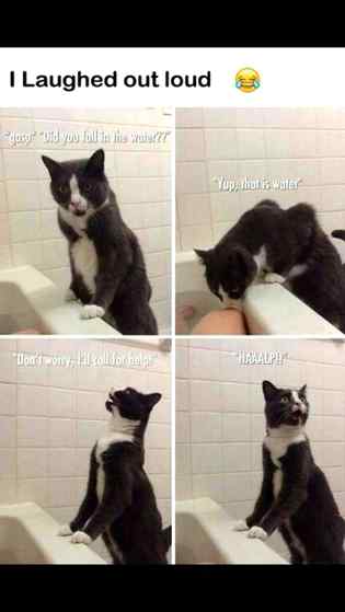 Funny joke