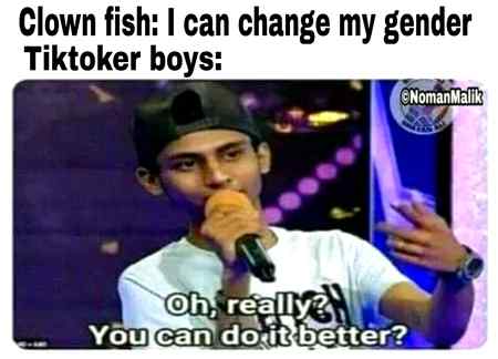 Funny joke