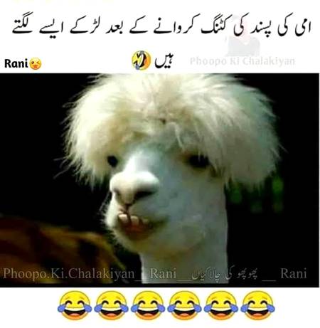 Funny joke