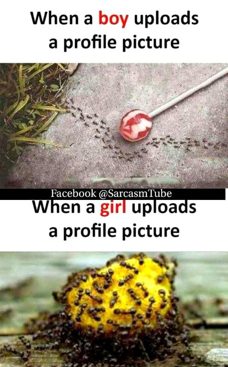 Funny joke