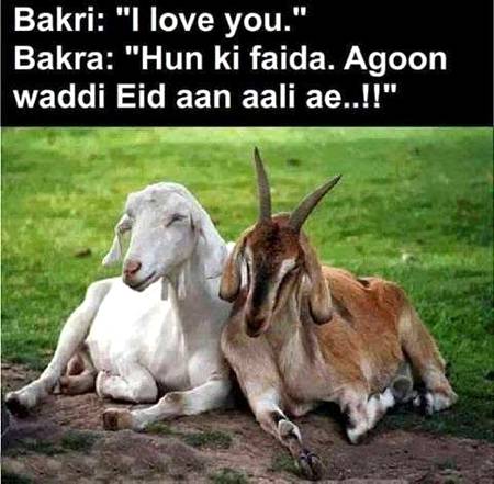 Funny joke