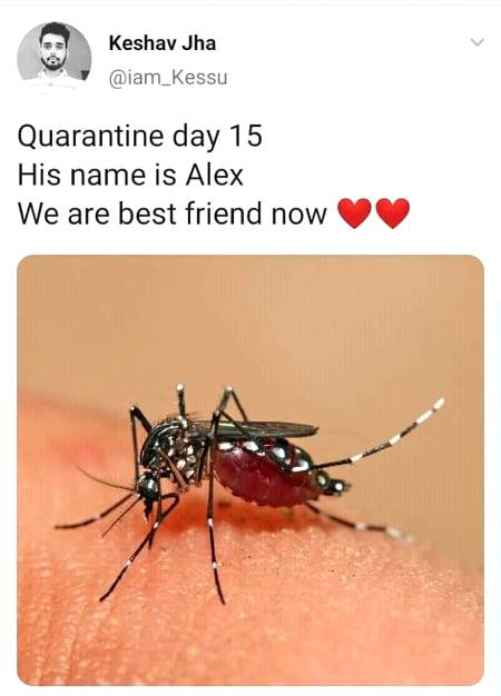 Funny joke