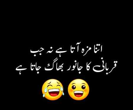 Funny joke
