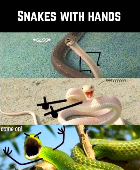 Funny joke
