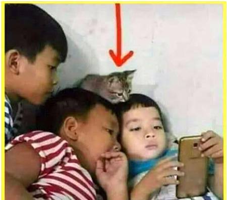 Funny joke