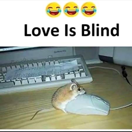 Funny joke