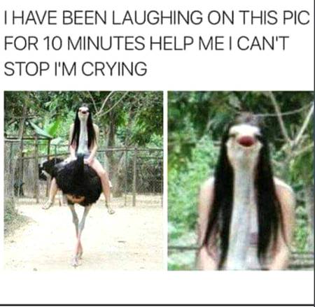Funny joke