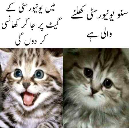 Funny joke