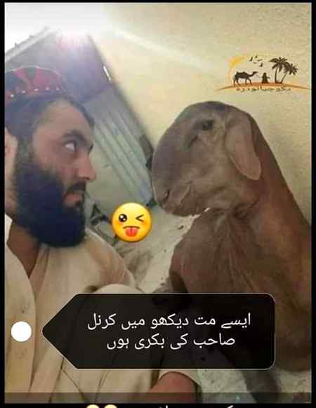 Funny joke