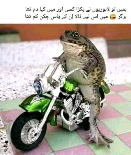 Funny joke