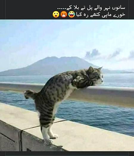 Funny joke