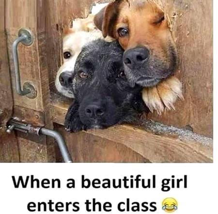 Funny joke