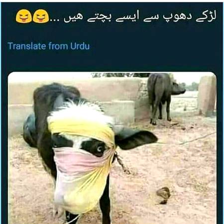 Funny joke