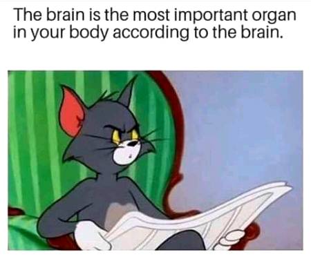 Funny joke