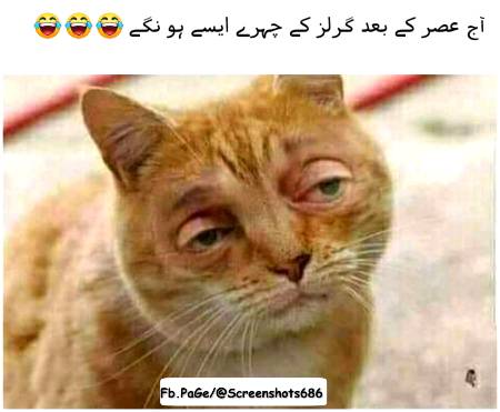 Funny joke