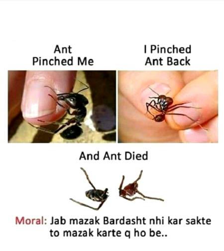 Funny joke