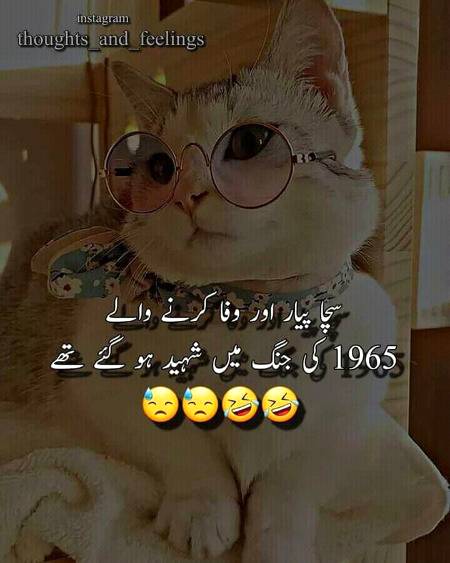 Funny joke