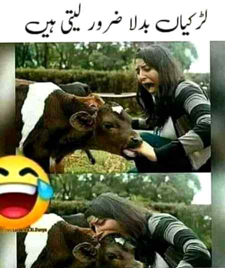 Funny joke