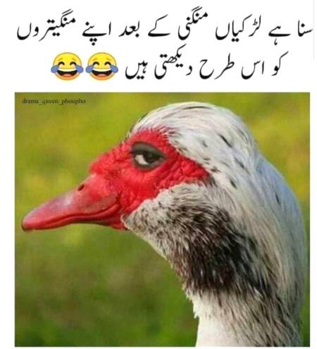 Funny joke