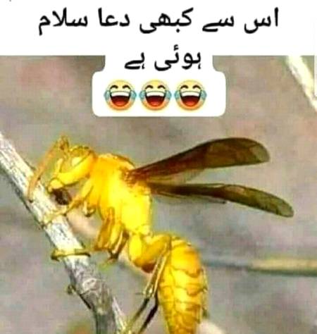 Funny joke