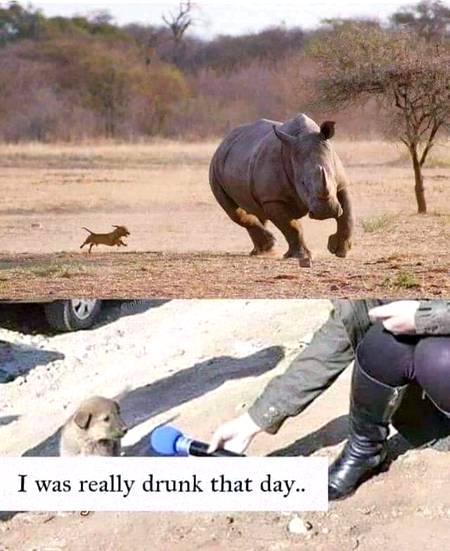 Funny joke