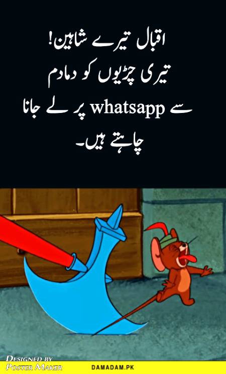 Funny post, fun post