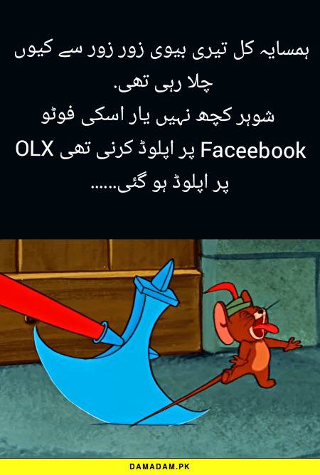 Funny post, fun post