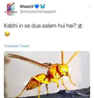 Funny post, fun post