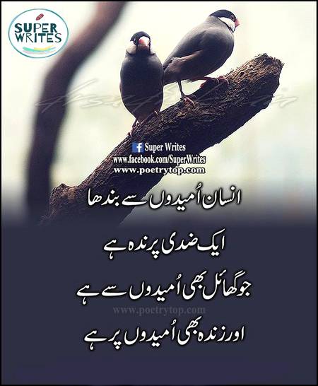 Golden words