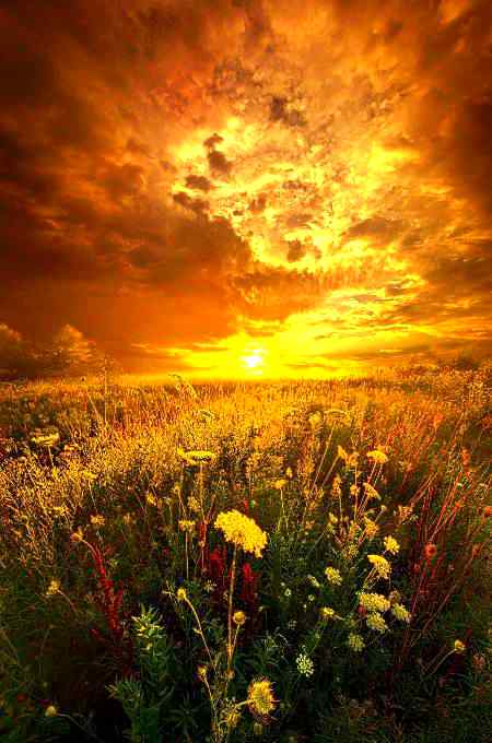 Good afternoon