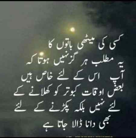 Good afternoon